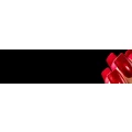 Logo Nagelstudio Karin