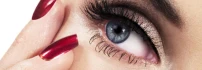 Logo Nail-City