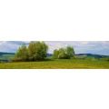 Logo Naturbestattung Montes Mariani