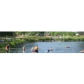Logo Naturfreibad Schinderweiher