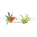 Logo Naturfreunde MV GmbH