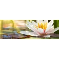 Logo Naturfriseur Namast&eacute;