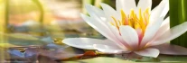 Logo Naturfriseur Namasté Sylt