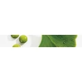 Logo Guderle, Doris