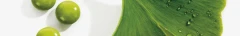 Logo Naturheilpraxis Doris Guderle
