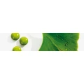 Logo Naturheilpraxis Dorothea Moch