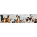 Naturheilpraxis f&uuml;r Hunde - Barbara Csery Fraunberg
