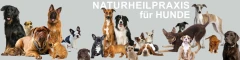 Naturheilpraxis f&uuml;r Hunde - Barbara Csery Fraunberg