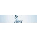 Logo Haase Horst H. ibis Naturheilpraxis