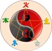 Logo Naturheilpraxis Hakami
