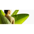 Logo Naturheilpraxis Ulrike Herbers