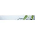 Logo Naturheilpraxis Insel Claudia Bruckner und Daniela Bivour