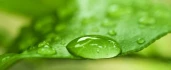 Logo Naturheilpraxis Kyncl Alternative Therapiepraxis für Schmerztherapie