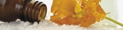 Logo Naturheilpraxis Petra Hehl