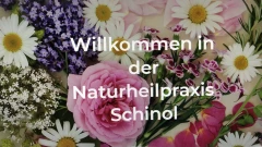 Naturheilpraxis Schinol Heilpraktikerin Heilpraktikerin Rheine