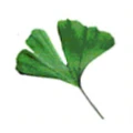Naturheilpraxis Sch&uuml;lke Hemau
