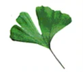 Naturheilpraxis Sch&uuml;lke Hemau