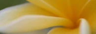 Logo Naturkosmetik und Massage Carmen Kröner