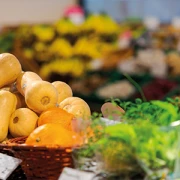 Naturkost und Diätwaren Einzelhandel mit Gesundheitsprodukten Ludwigsfelde