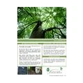 Logo Naturruhe Friedewald GmbH