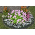 Naturzauber Inh. Nico Mroos Blumenladen Lieberose