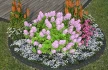 Logo Naturzauber Inh. Nico Mroos Blumenladen