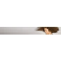 Logo NEEFS HAAR EXTRA Inh. Silvia Reindl