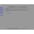Netzy Media Oliver Geiser Marktredwitz
