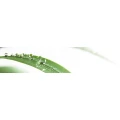 Logo Neue Apotheke am Klinikum Bremerhaven