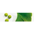 Logo Neue Apotheke