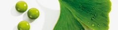 Logo Neue Apotheke Matthias Kusiek e.K.