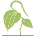 Logo Neuer Pfefferer