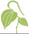 Logo Neuer Pfefferer Restaurant
