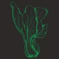 Logo Neuland &ndash; Bar Bistro Stadtzimmer