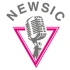 Logo Newsic Production Inh.Stefan Lepiorz