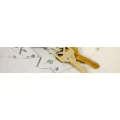 Logo Next- Immobilien & Finanzierung