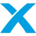 Logo next level consulting Deutschland