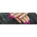 Logo Nice & Perfect Nails