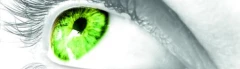 Logo Nicole Miedl Malermeisterin