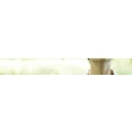 Logo Tillmann, Nicole