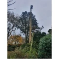 Niklas Suhrcke Garten und Landschaftsbau Hamburg