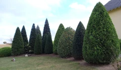 No Limit Garten Burgbrohl