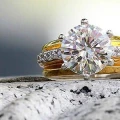 Noble House GmbH Bremen