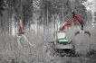 Logo Noe Otmar GmbH