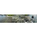 Logo Nordic Ambiente Agentur