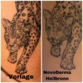 NovoDerma GmbH Heilbronn