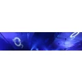 Logo o2 shop
