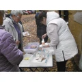 Oberlausitz-Tourist Demitz-Thumitz