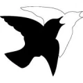 Logo Oberschule an der Lerchenstra&szlig;e