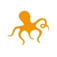 Logo octopus design